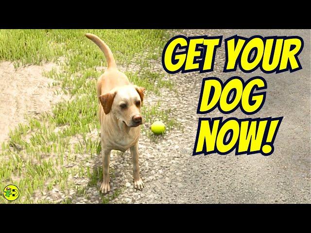 Discover How to Get a Dog in Farming Simulator 25!