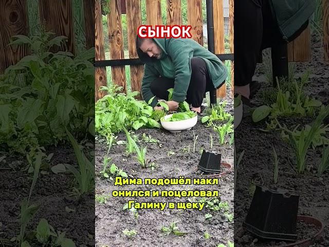 #рассказы #жизнь