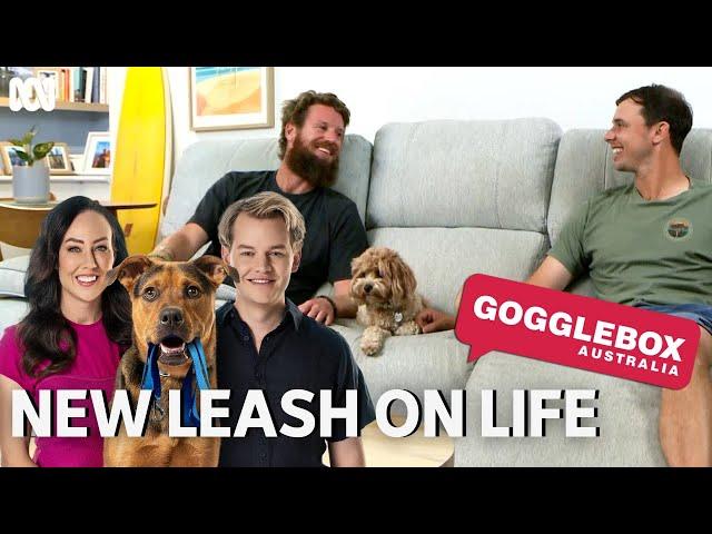 Gogglebox Australia watches New Leash On Life | New Leash On Life | ABC TV + iview