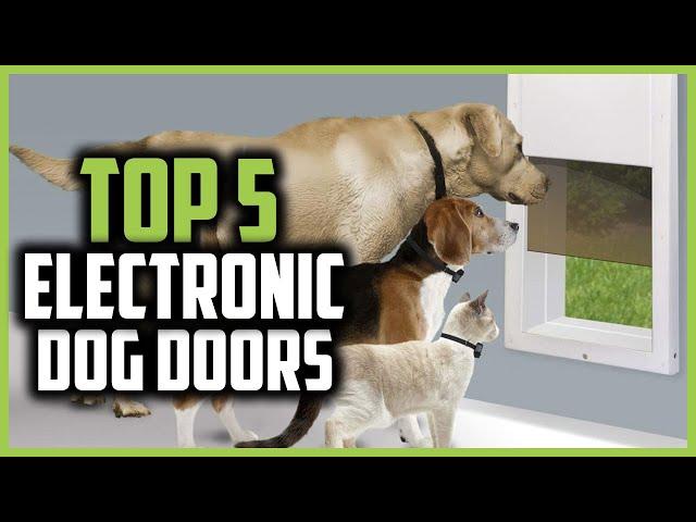 Top 5 Best Electronic Dog Doors of 2024