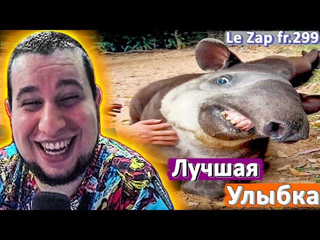 МАНУРИН СМОТРИТ Le Zap .fr n°299 - WATC THE MANYRIN - ПРИКОЛЫ 2023 - СМЕШНЫЕ ВИДЕО #reaction