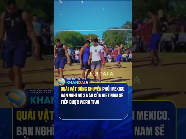 Theo bạn, bộ 3 nào của VN sẽ tiếp được Wero Tiwi #bongchuyen #volleyball #shorts