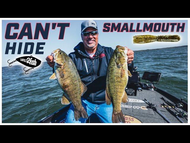 How to Find and Catch Smallmouth Bass on Big Flats