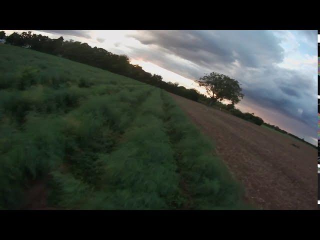 Caddx Orca - FPV Freestyle - No Stabi No Colour Grade - RAW