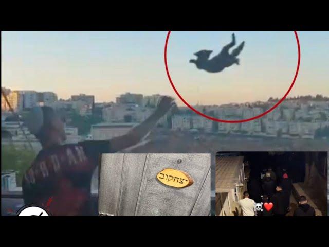 הנער שזרק חתול מקומה 5 בירושלים - כל הפרטים