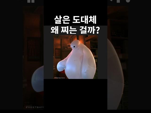 살은 도대체 왜 찌는 걸까??