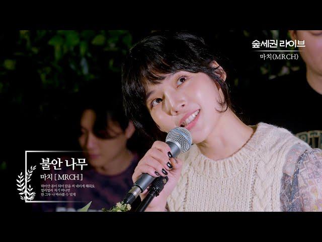 마치 (MRCH) - 불안 나무ㅣ숲세권 라이브ㅣFor Rest LIVE