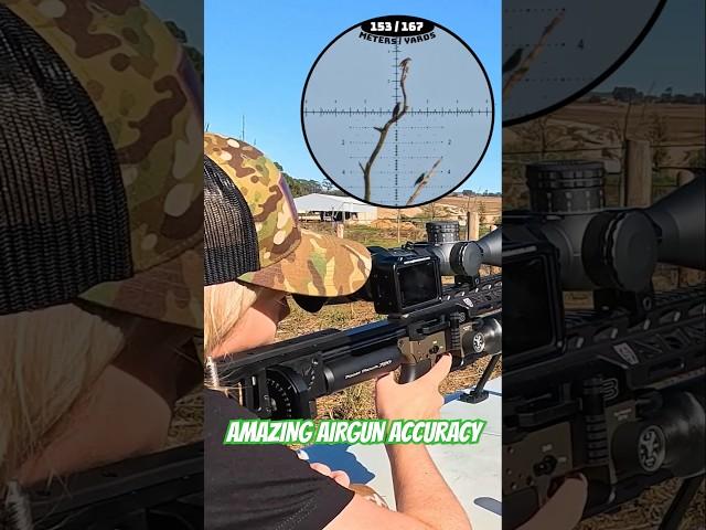 Amazing Airgun Accuracy | FX Impact | Best PCP Airguns in the world | FX Airguns #fxairguns