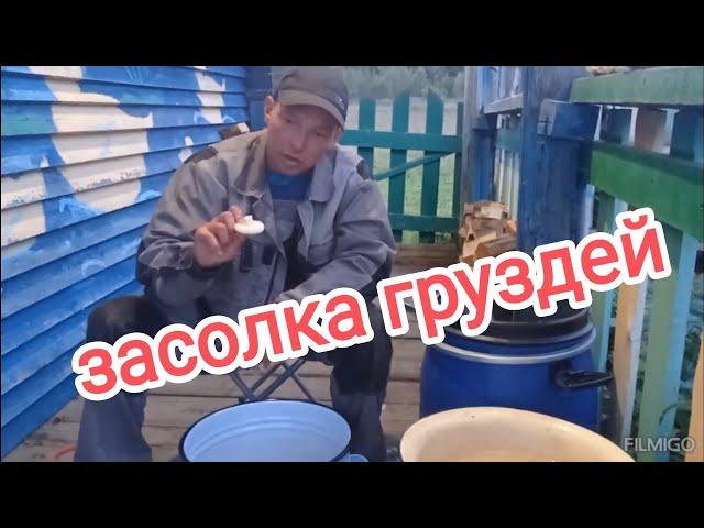 Засолка хрустящих, вкусных и ароматных груздей. Рецепт от даров природы.