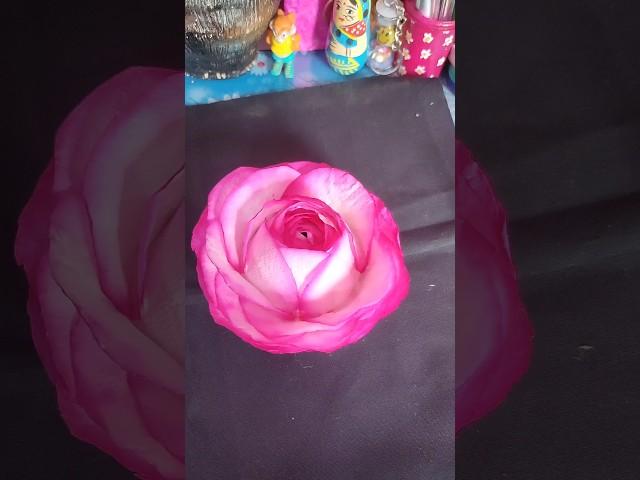 Rose With Tissue Paper#art #artwork #shortvideo #drawingvidio #drawingtutorials #painting #craft