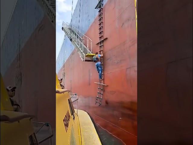 Ship Pilot takes advantage of waves to board ship