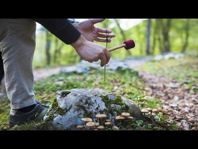 Types of Sound Sources | 015 | Learn Sound Therapy