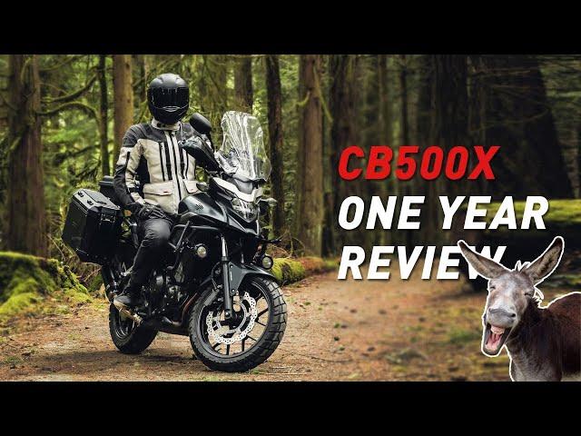 Detailed Review Of My Honda CB500X aka "The Donkey"