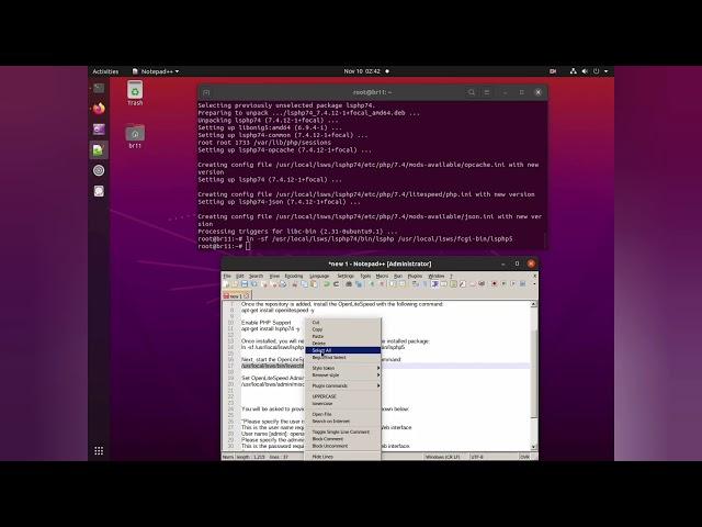 Trying Instal OpenLiteSpeed on Ubuntu 20.04 LTS 2020