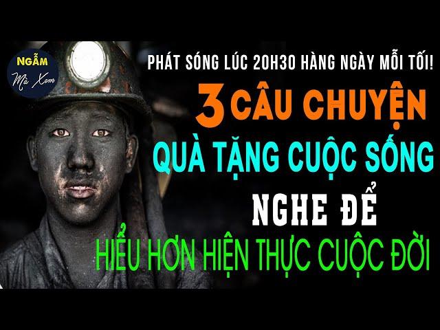  MÁU MỎ | 3 Câu Chuyện Quà Tặng Cuộc Đời Nghe Để Biết Thêm Hiện Thực Cuộc Sống | NGẪM MÀ XEM