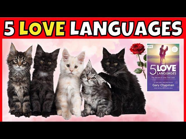 The Five Love Languages: Which One Does Your Cat Speak?