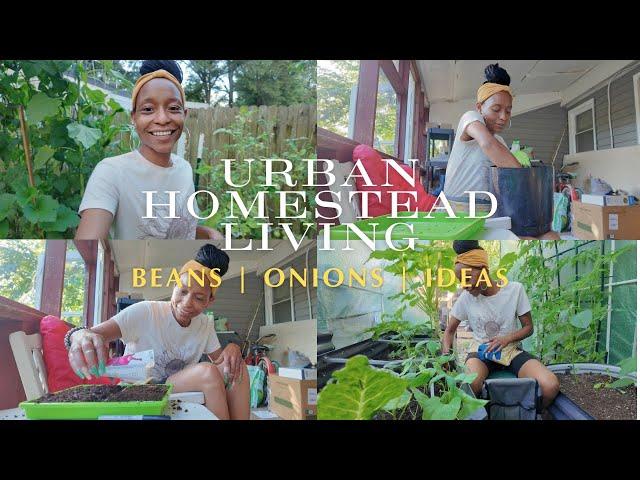 VLOG | Urban Homestead Living | Onion & Greenhouse Growing | Botanical Interests Onion Seed Haul