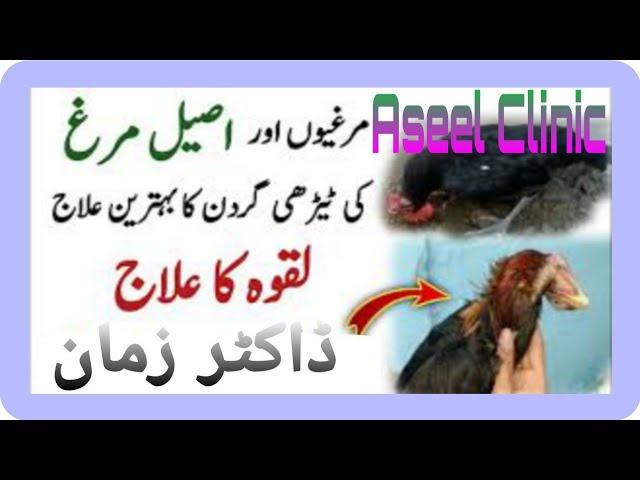 Aseel Murga ke Laqwa ka ilaj/Aseel Clinic