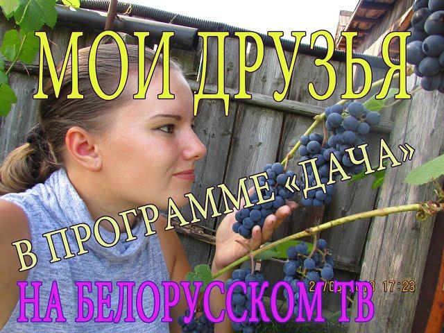 Моя хорошая подруга Таня Афоневич на телеканале Беларусь 1 в программе Дача.
