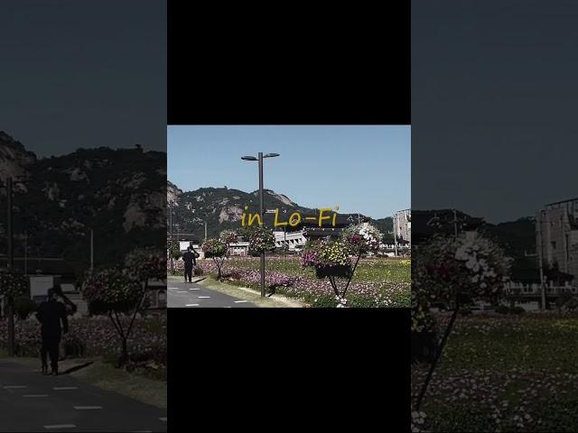 대한 쇼오츠