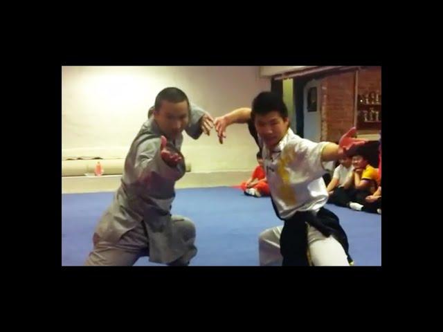 Sweden Shaolin Kungfu School