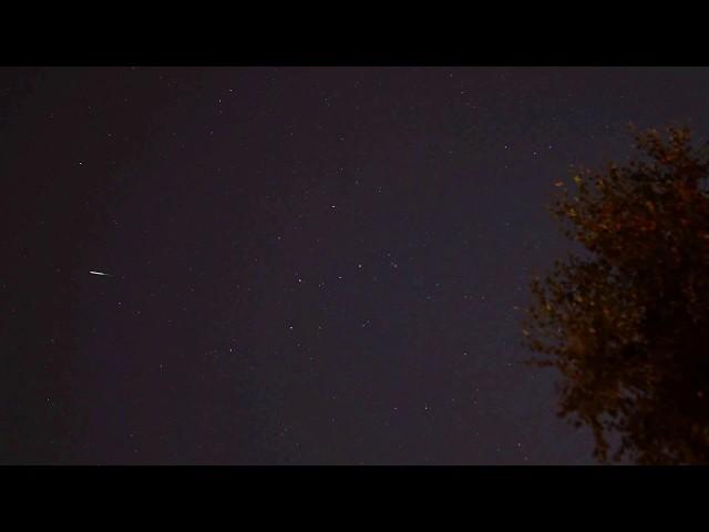 Small Green  Perseid Meteor by Teresa Cooper