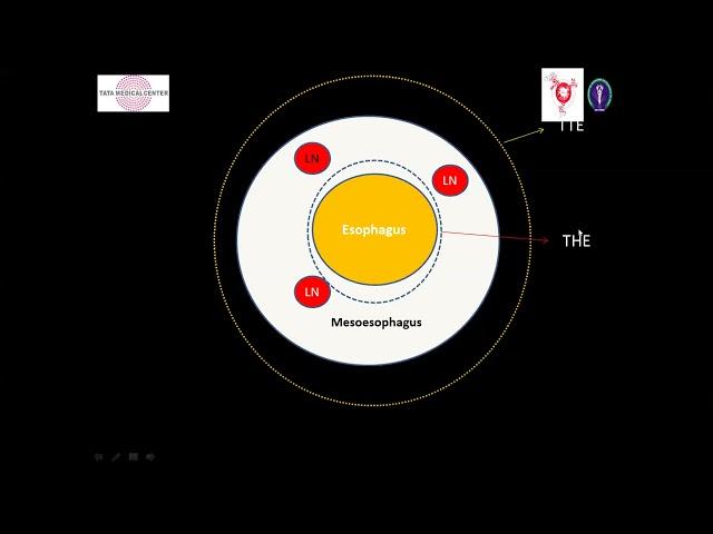 AROI WB Clinical Oncology : Gastrointestinal Malignancy