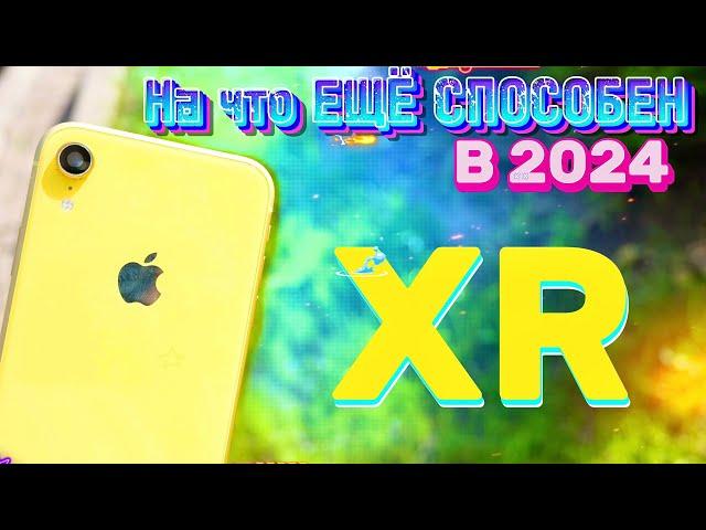 Ты его КУПИШЬ! iPhone Xr в 2024 году, ПОСЛЕДНИЙ по-настоящему ВЫГОДНЫЙ iPhone