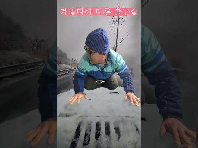 사계절이 있는 도로 ?? #출근길 #청년농부진이 #진이미나리 #새해 #선물 #farming #사계절 #눈길 # 안전운전 #지프 #청도군