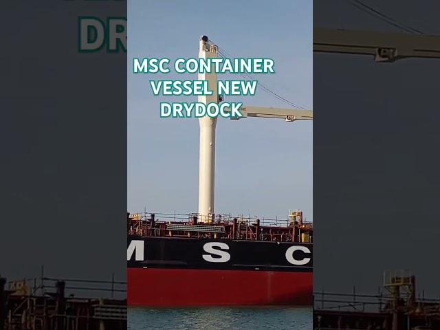 MSC CONTAINER SHIP NEW DRYDOCK IN PALUMBO SHIPYARD