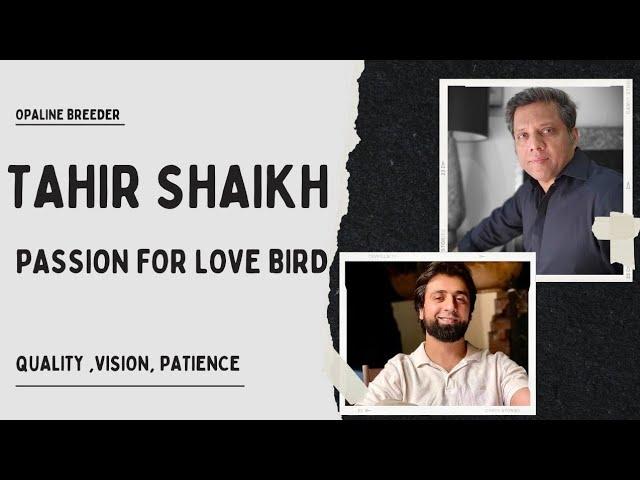 Passionate Love Bird Breeder- Mr. Tahir Shaikh