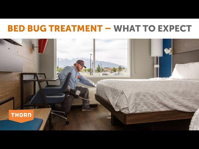 What to Expect with a Bed Bug Treatment