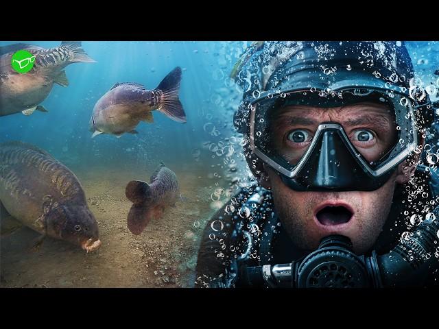 UNDERWATER - After Hours with Darrell Peck | Korda Carp Fishing