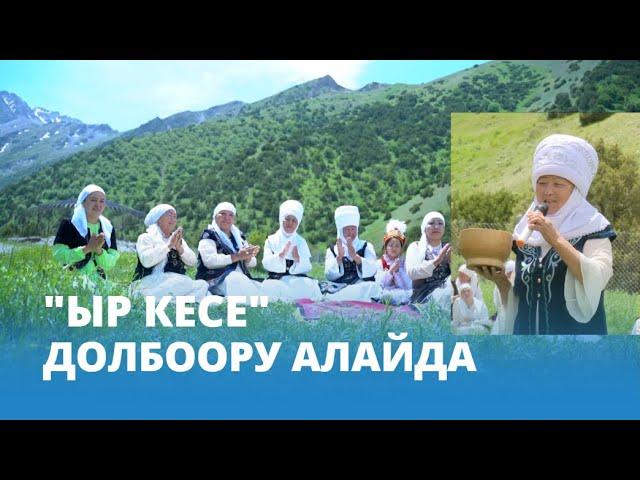 "Ыр кесе" долбоору Алайда