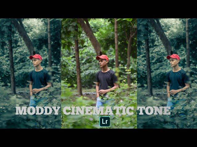 MODDY CINEMATIC LIGHTROOM MOBILE EDITING|BK EDITZ09| preset lightroom mobile #editing #lightroom