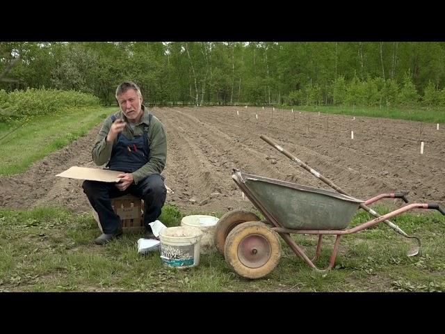 Зеленый сад фильм № 372 "КАРТОФЕЛЬ. ОГУРЦЫ." 28.05.22г. Хабаровск (zeleniisad.ru)