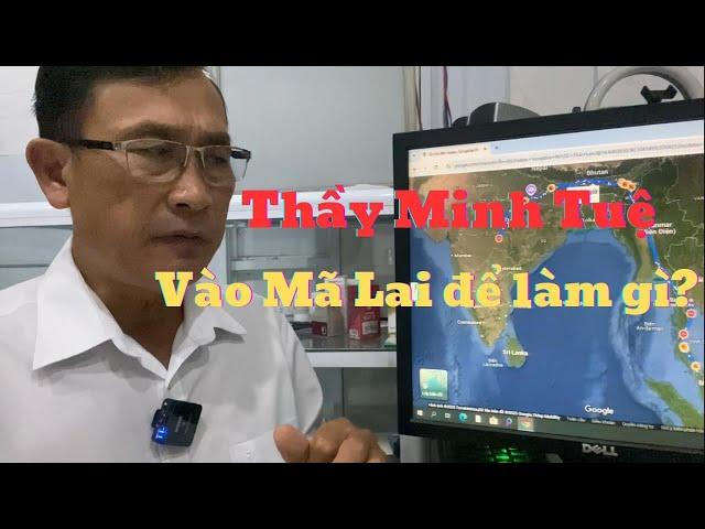 Thầy Minh Tuệ vào Mã Lai để làm gì?