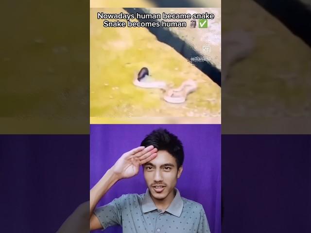 Real respect   (part 3)