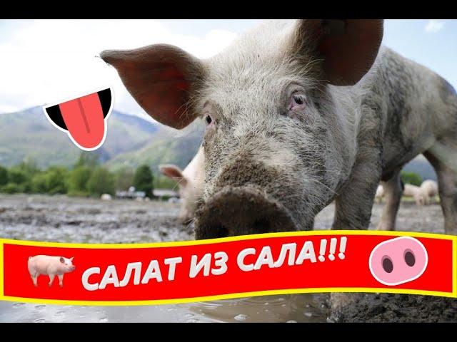 САЛАТ ИЗ САЛА!!! Быстрый рецепт!