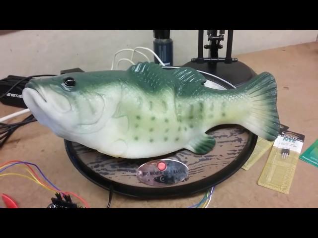 Amazon Alexa Hacked Into Billy Bass Fish