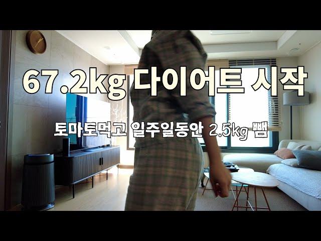 일주일에 2.5kg 감량한 마법의 스프 표로롱