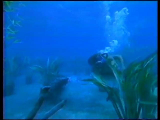 underwater fight male scuba vs female freediver. In clasic MOVIE. EL DIABLO AZUL.