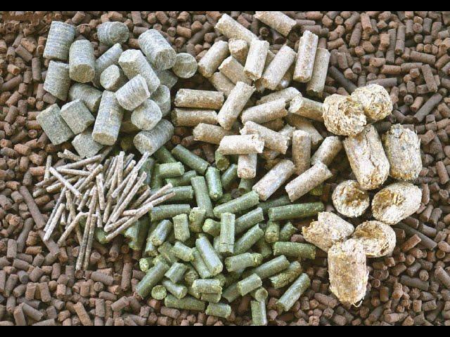 What Material and Feeds can be Pelletized