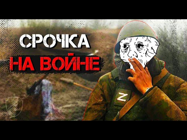 СРОЧНИКИ НА ВОЙНЕ! Миф или Реальность?