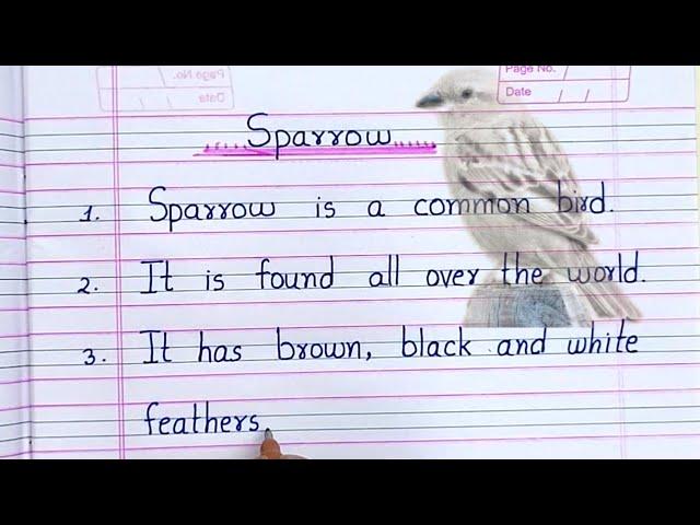 Essay on sparrow | 10 lines on sparrow | sparrow essay | world sparrow day