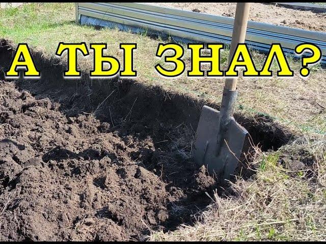 «Ленивый» способ освоить целину Начинаем сейчас