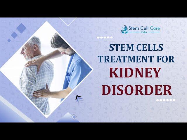 Mesenchymal stem cells reduce kidney damage. diabetic & renal failure | Stem Cell Treatment |
