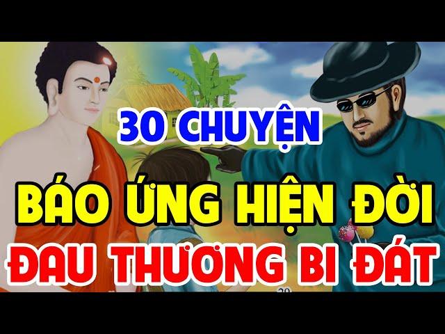 30 Chuyện Nhân Quả Phật Giáo, Về BÁO ỨNG HIỆN ĐỜI Đau Thương Bi Đát Nhất AI CŨNG NÊN NGHE Dù 1 Lần