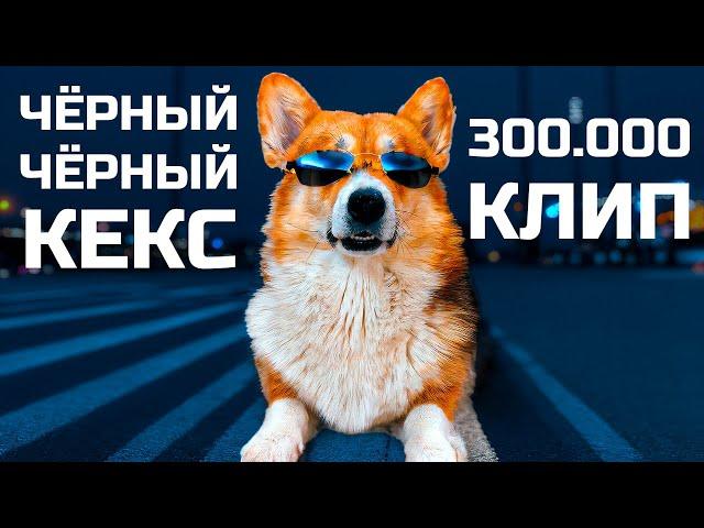 Корги Кекс - ЧЕРНЫЙ ЧЕРНЫЙ КЕКС!! (Official music video) 300к КЛИП!!