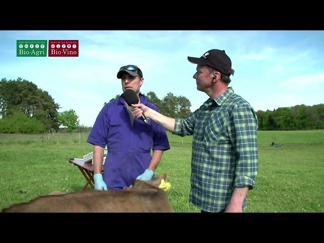 LAIT - Production et écoulement du lait bio